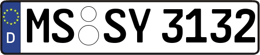 MS-SY3132
