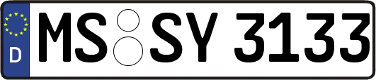 MS-SY3133