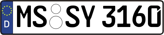 MS-SY3160