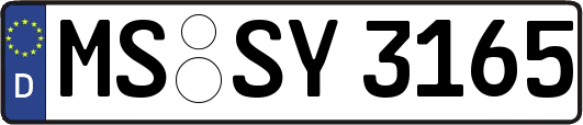 MS-SY3165