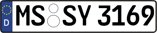 MS-SY3169