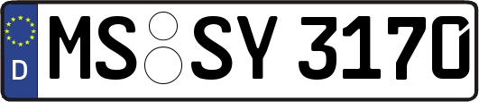MS-SY3170