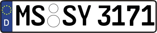 MS-SY3171