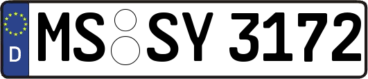 MS-SY3172