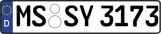 MS-SY3173