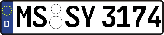MS-SY3174
