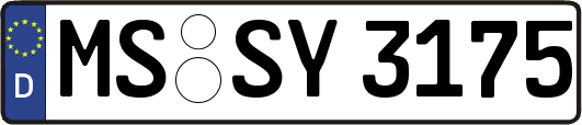 MS-SY3175