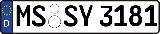 MS-SY3181