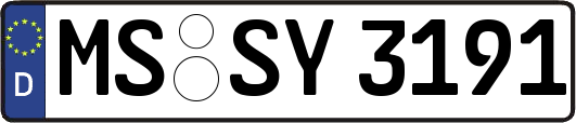 MS-SY3191