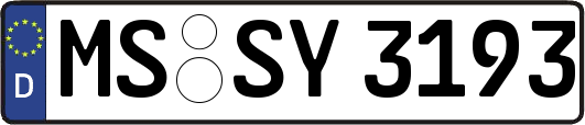 MS-SY3193
