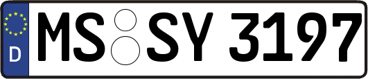 MS-SY3197