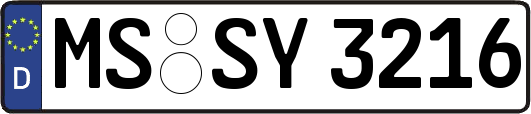 MS-SY3216