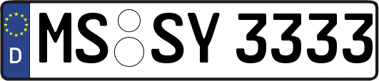 MS-SY3333
