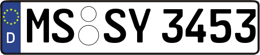 MS-SY3453
