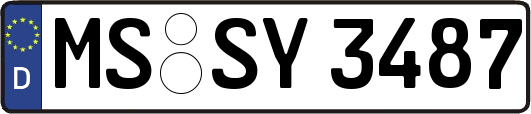 MS-SY3487
