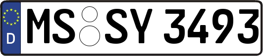 MS-SY3493
