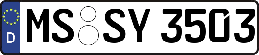 MS-SY3503
