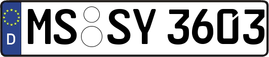 MS-SY3603
