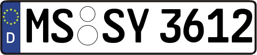 MS-SY3612