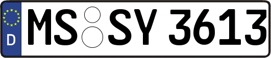 MS-SY3613