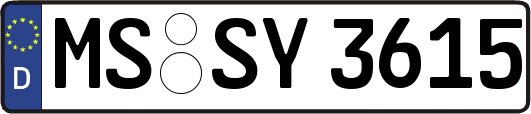MS-SY3615