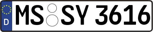 MS-SY3616