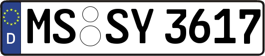 MS-SY3617