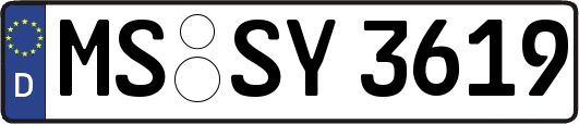 MS-SY3619