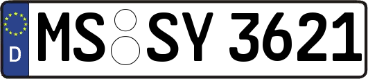 MS-SY3621