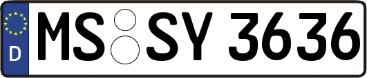 MS-SY3636