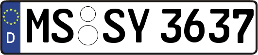 MS-SY3637