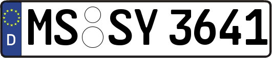 MS-SY3641
