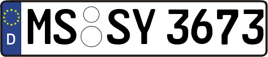 MS-SY3673