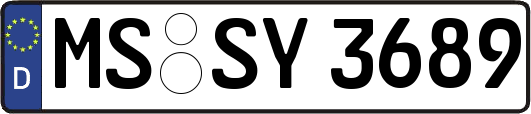 MS-SY3689