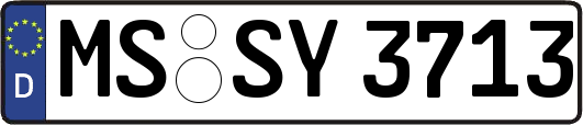 MS-SY3713