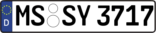 MS-SY3717