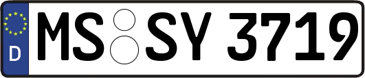 MS-SY3719