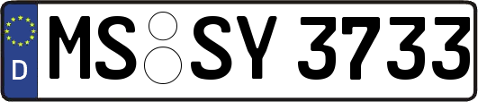 MS-SY3733