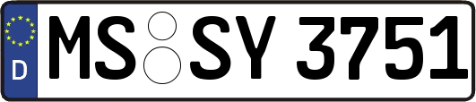 MS-SY3751