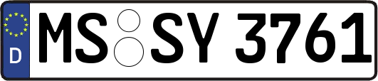 MS-SY3761