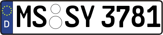 MS-SY3781