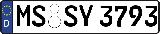 MS-SY3793