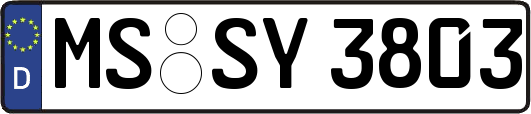 MS-SY3803
