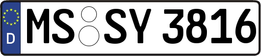 MS-SY3816