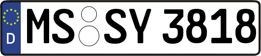 MS-SY3818