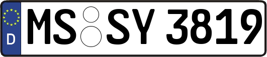 MS-SY3819