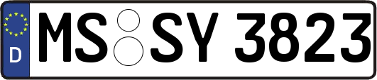 MS-SY3823