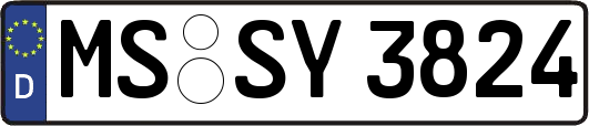 MS-SY3824