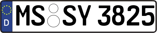 MS-SY3825