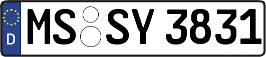 MS-SY3831